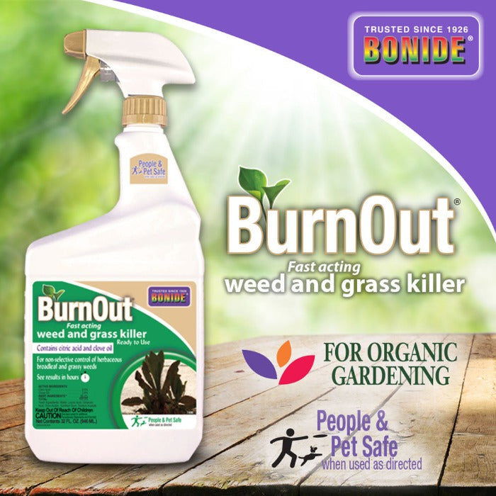 bonide herbicide Burnout Weed Killer
