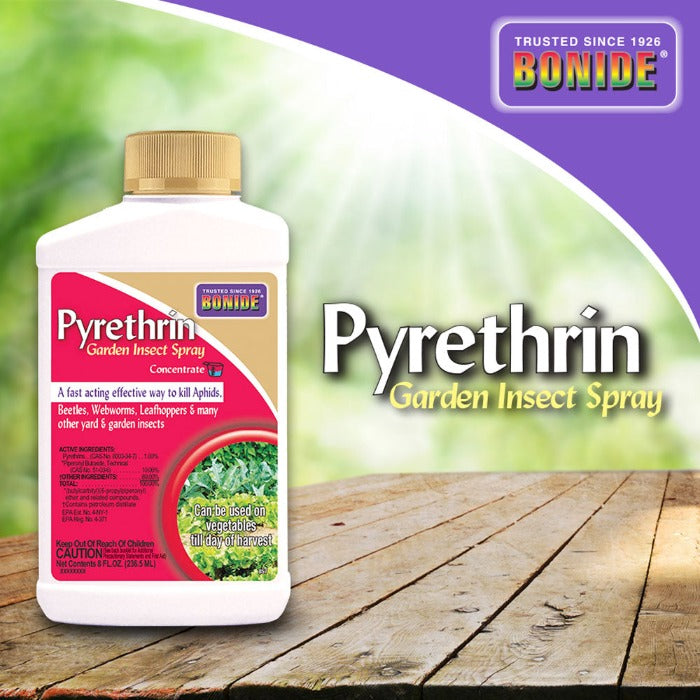 garden insect killer Bonide Pyrethrin Garden Insect Spray Concentrate