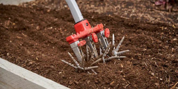 Potting Soil vs. Garden Soil: What's the Difference and When to Use Each