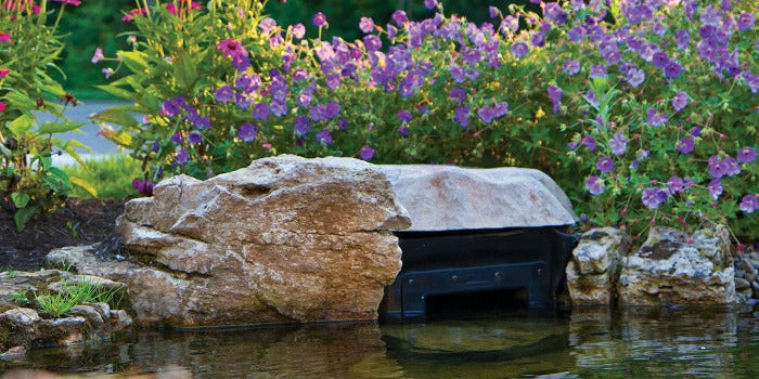 Pond Lighting Ideas: Where to Put Your Pond Lights