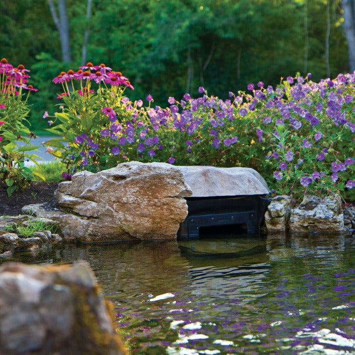 Pond Lighting Ideas: Where to Put Your Pond Lights