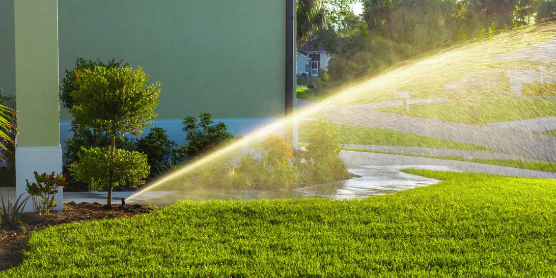 Lawn sprinkler watering a green lawn beside a house in low afternoon light