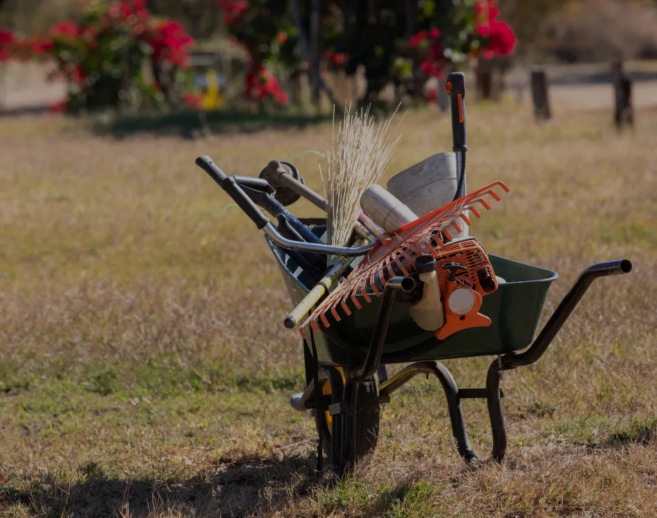Green wheelbarrow loaded with rake, shovel, broom, and other gardening tools in a sunny field.