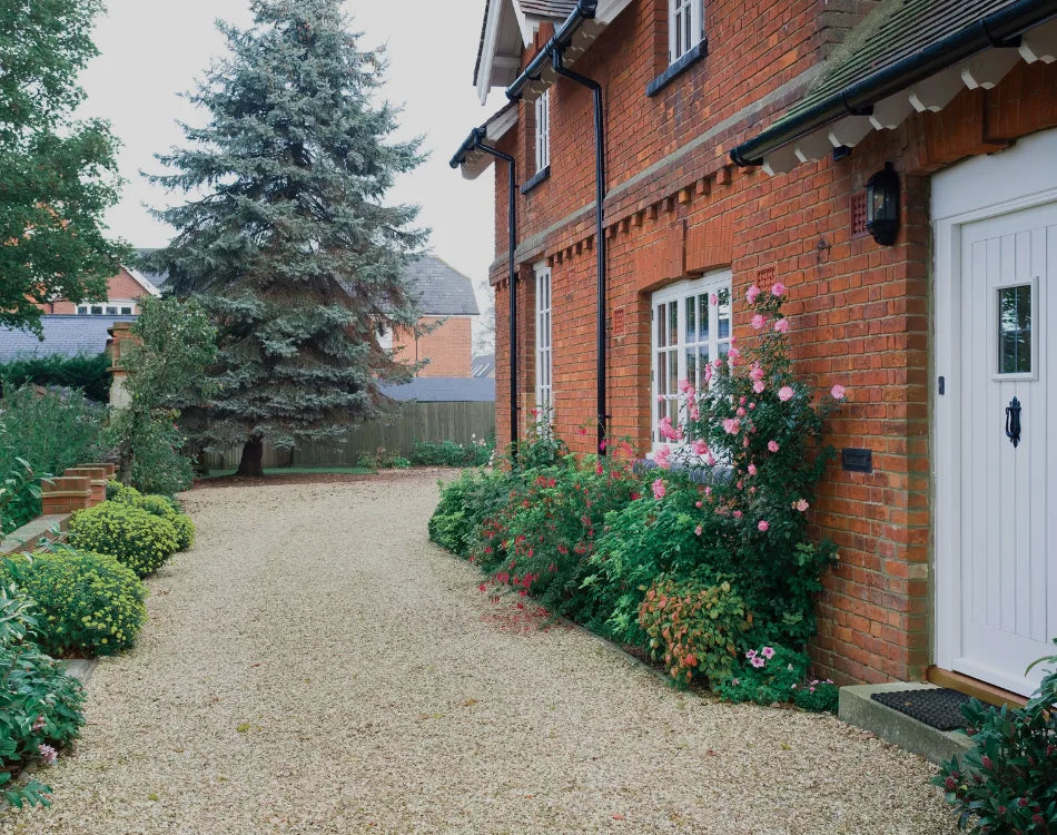 Brick home with white front door, gravel walkway, and foundation plantings of climbing roses and boxwoods.