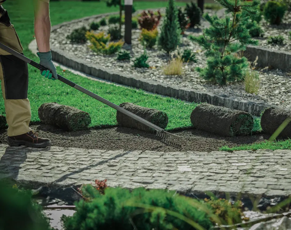 Landscaper raking gravel between fresh sod rolls along a stone walkway in a planted Colorado yard.
