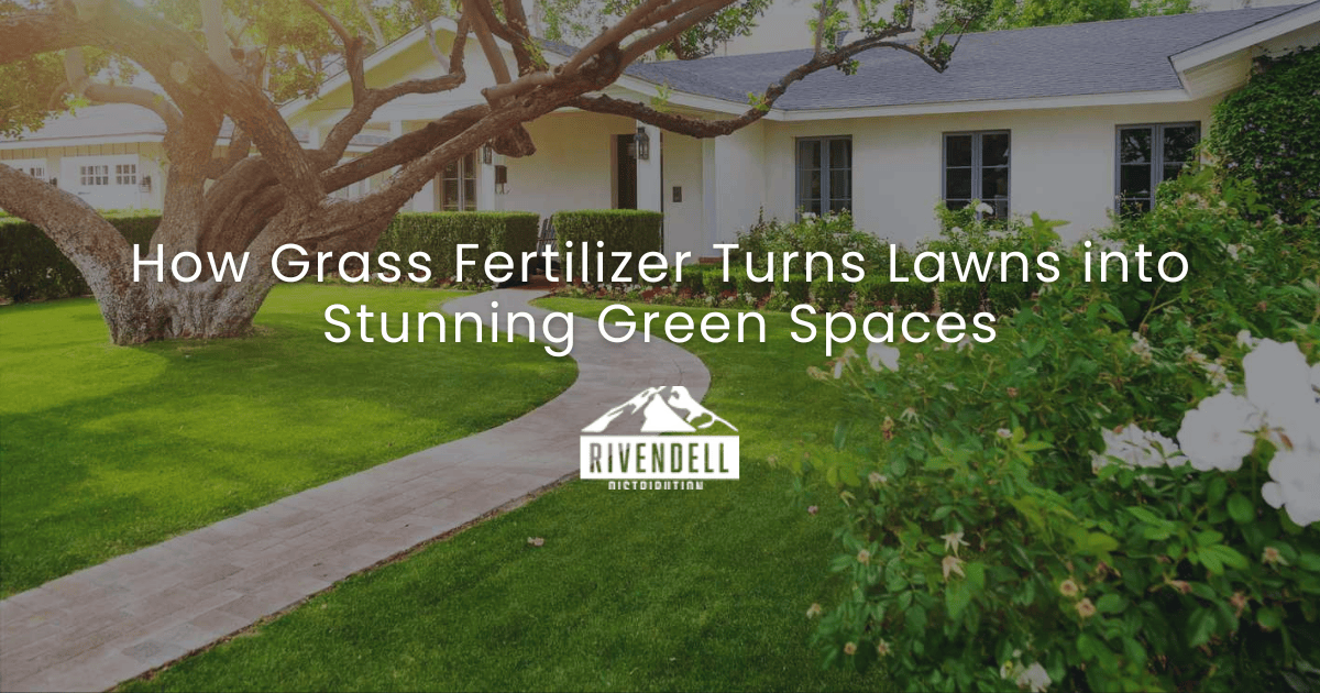 Suburban home with a lush green front lawn and trees with article title overlay on how grass fertilizer transforms lawns.