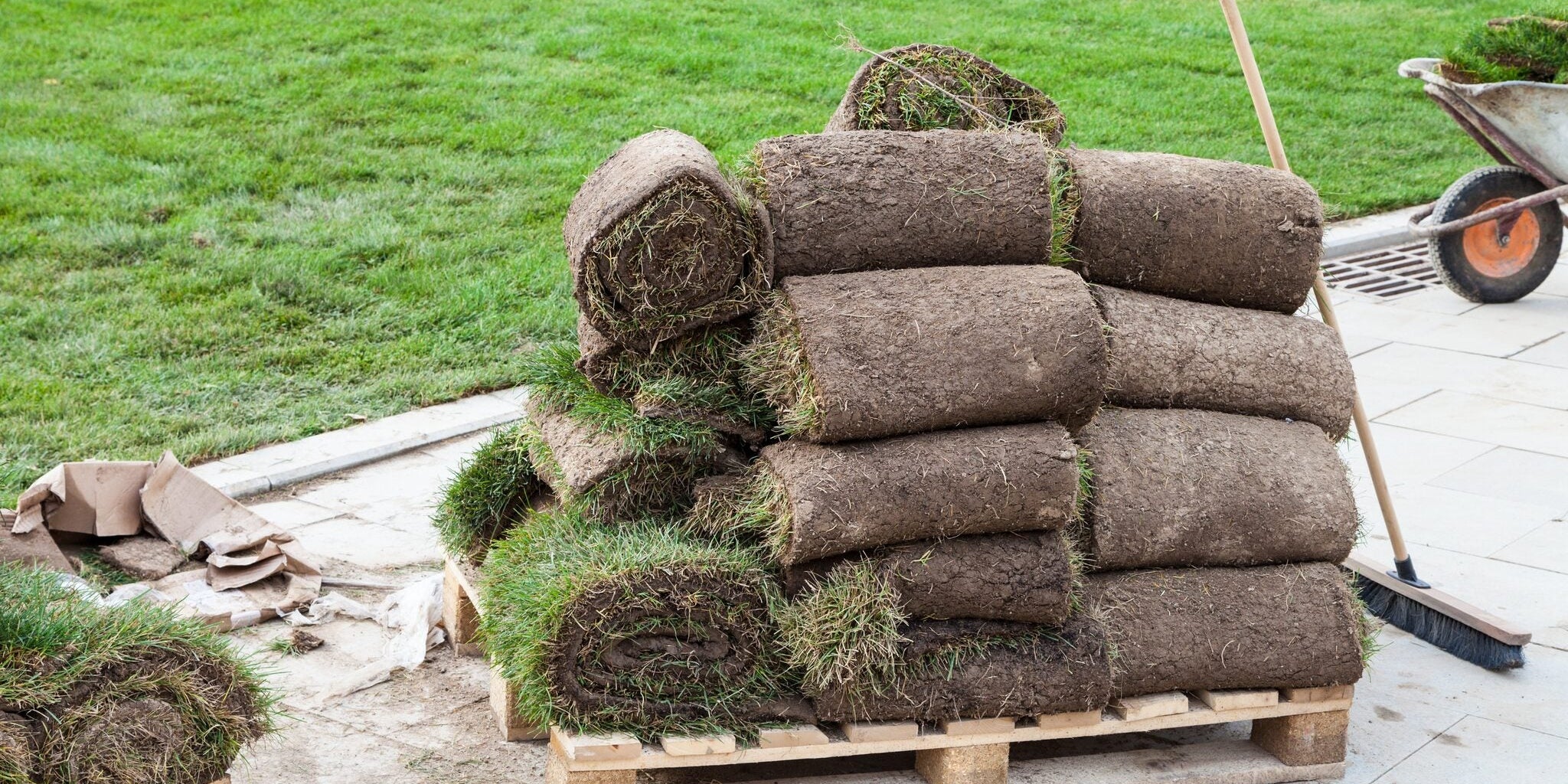 Fresh rolls of Kentucky bluegrass sod stacked on a pallet, ready for a fall lawn install from Rivendell Distribution