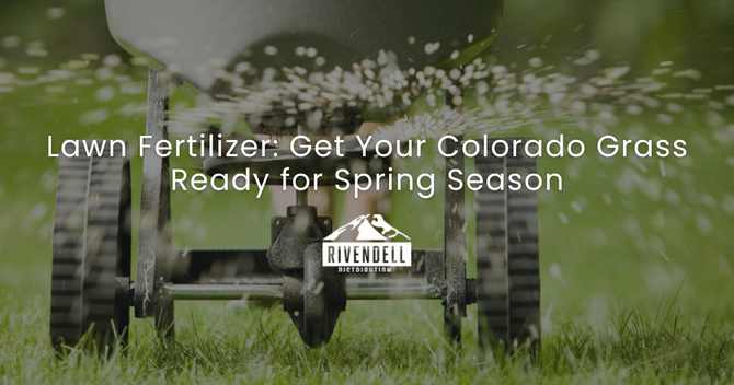 Lawn Fertilizer Guide: Get Your Grass Ready for Spring Season ...