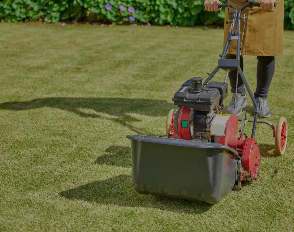 Person pushing a manual reel push mower across a green lawn for organic lawn care.