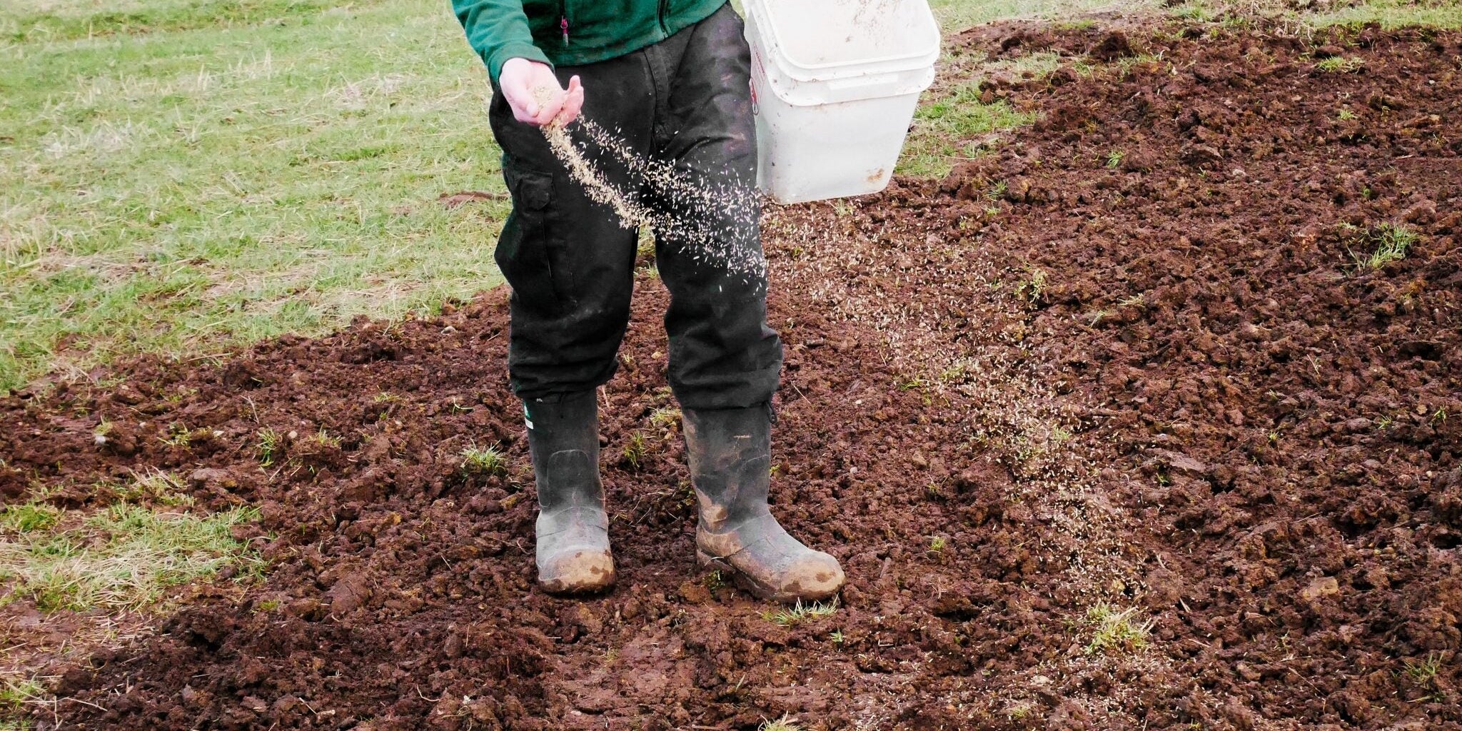 Broadcasting grass seed from a bucket over freshly tilled soil