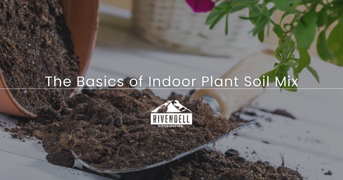 Dark brown indoor potting soil on a trowel, spilling from a terracotta pot.