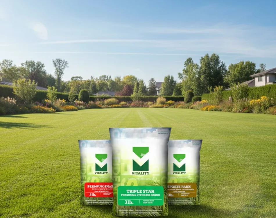 Three Vitality grass seed bags (Premium Shade, Triple Star, Sports Park) standing on a green lawn with park trees behind.