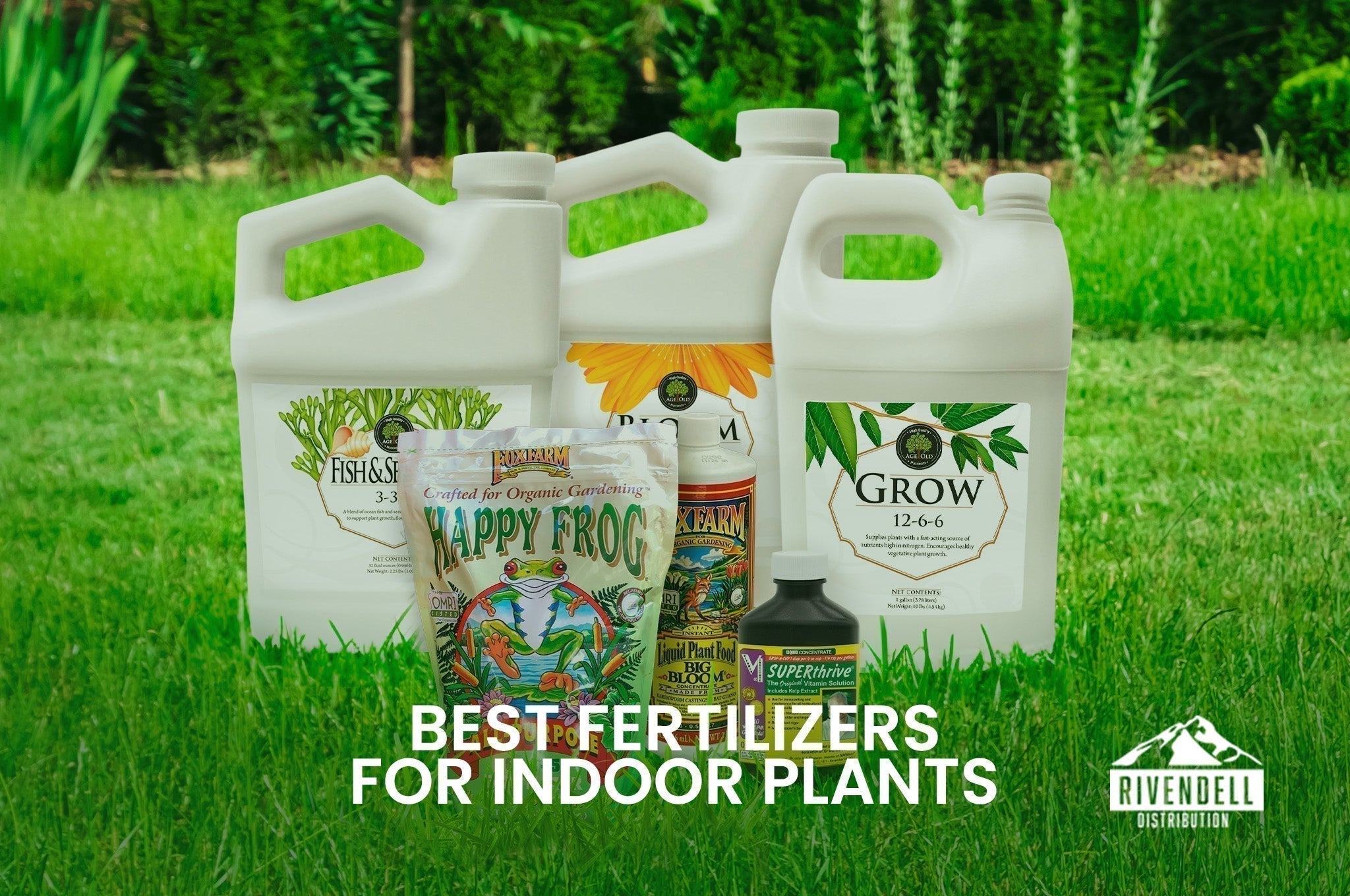 Group of indoor plant fertilizer bottles including Fish Emulsion, Happy Frog, and Grow on a lawn, titled Best Fertilizers for Indoor Plants.