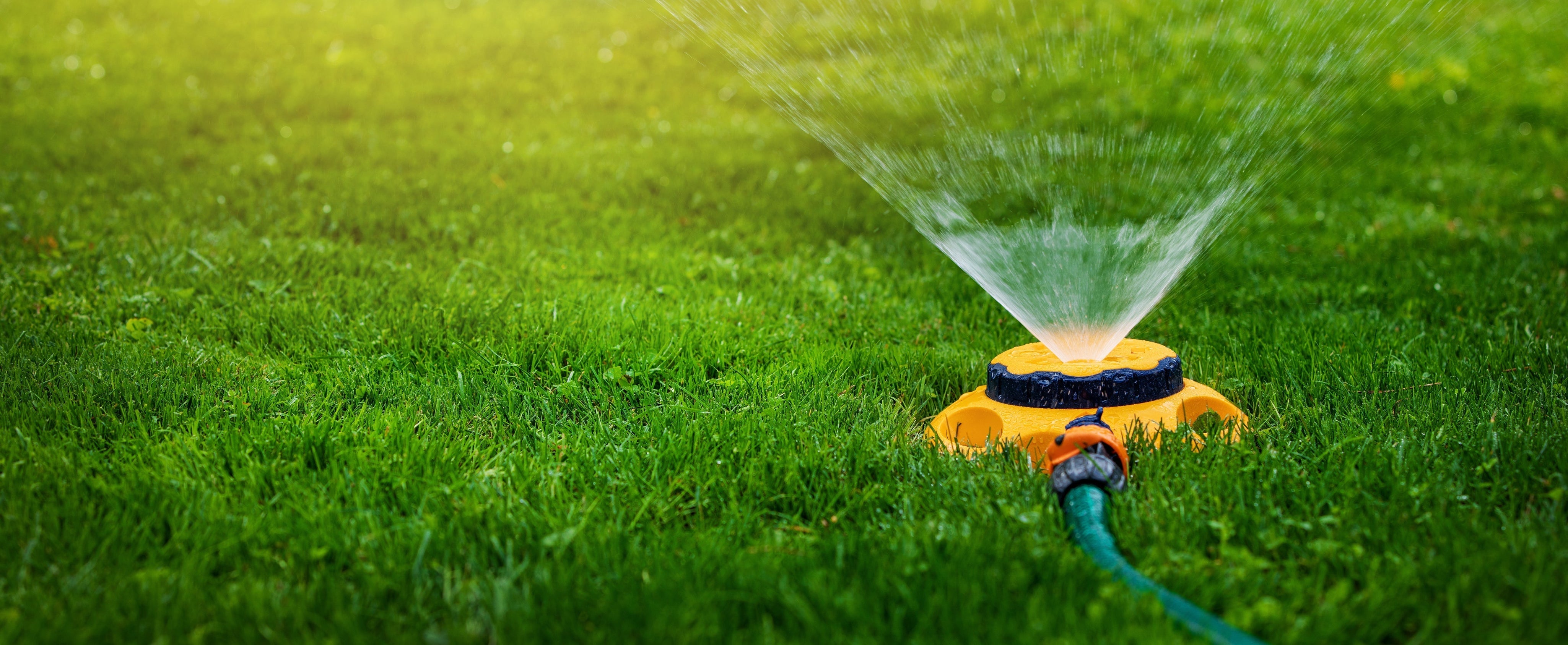 Yellow plastic sprinkler watering lush green grass.
