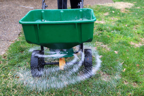 Green spreader applying fertilizer to lawn.