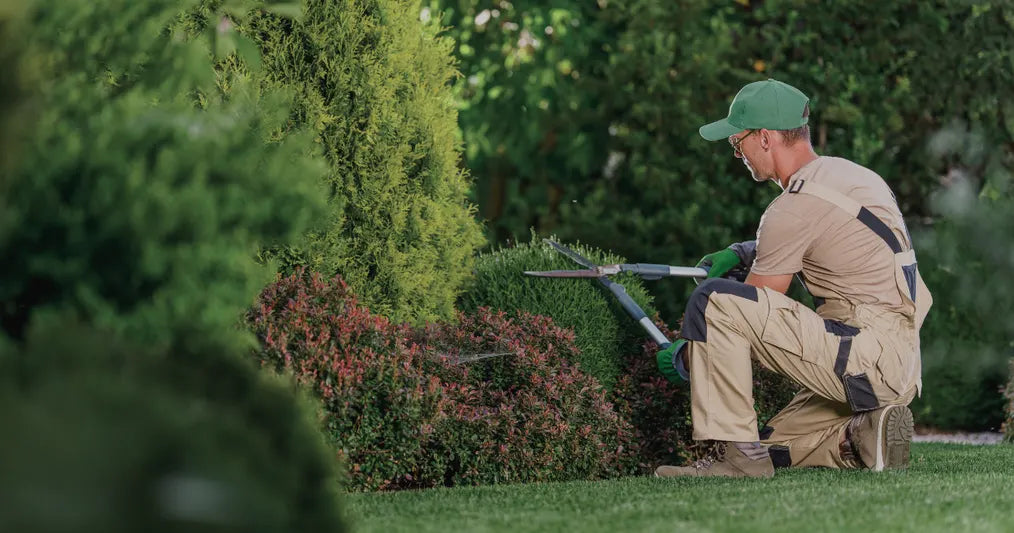 man cutting bushes