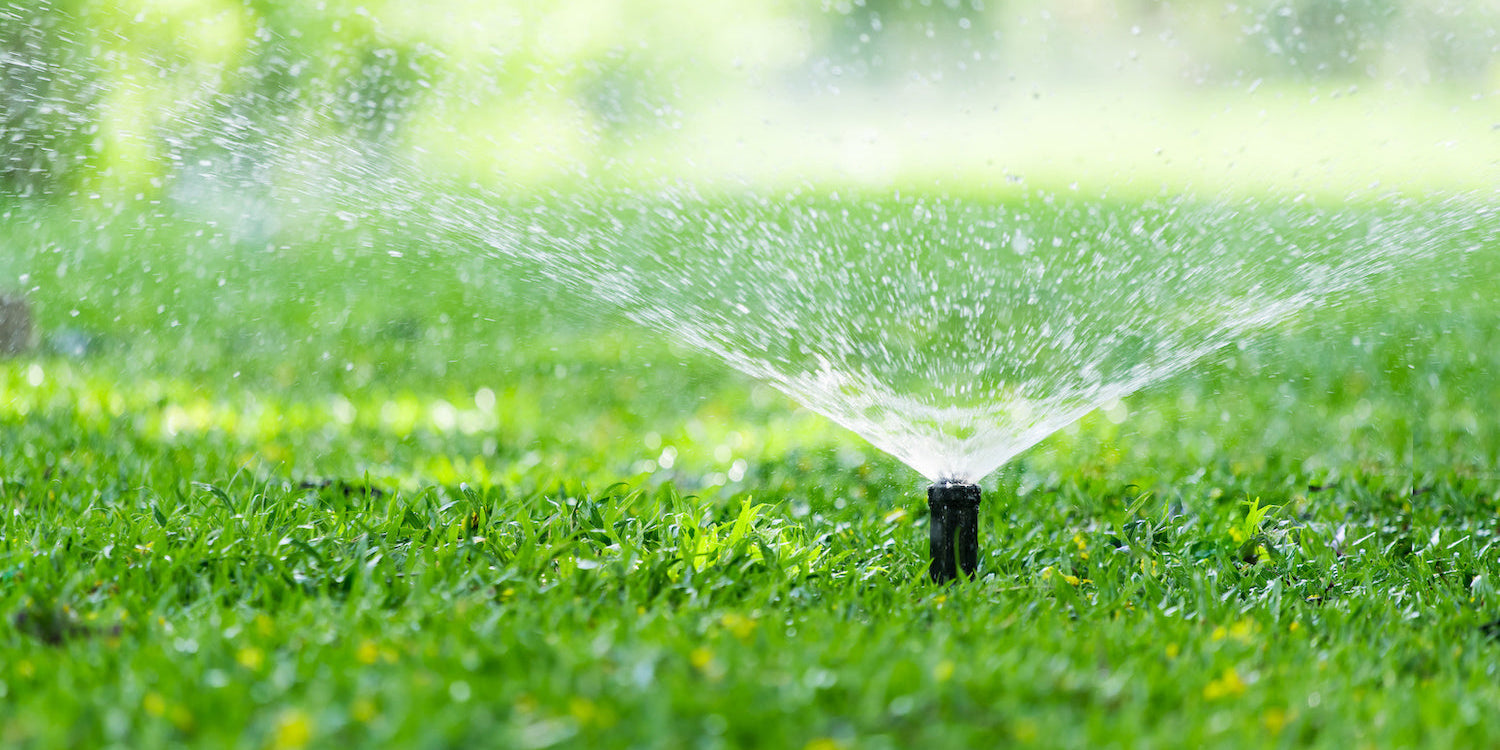 Pop-up sprinkler spraying a fine mist of water over a green lawn