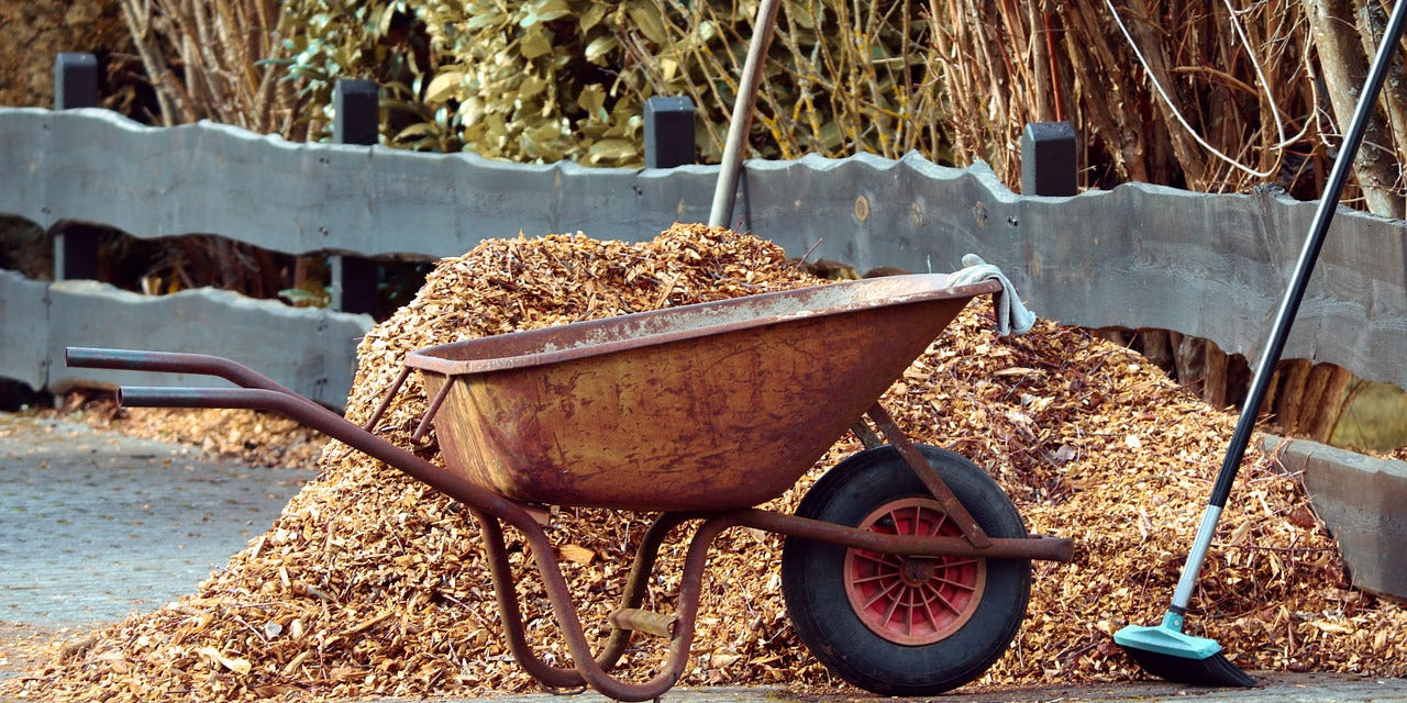 Rusty wheelbarrow in front of a large pile of wood chip mulch beside a wooden fence