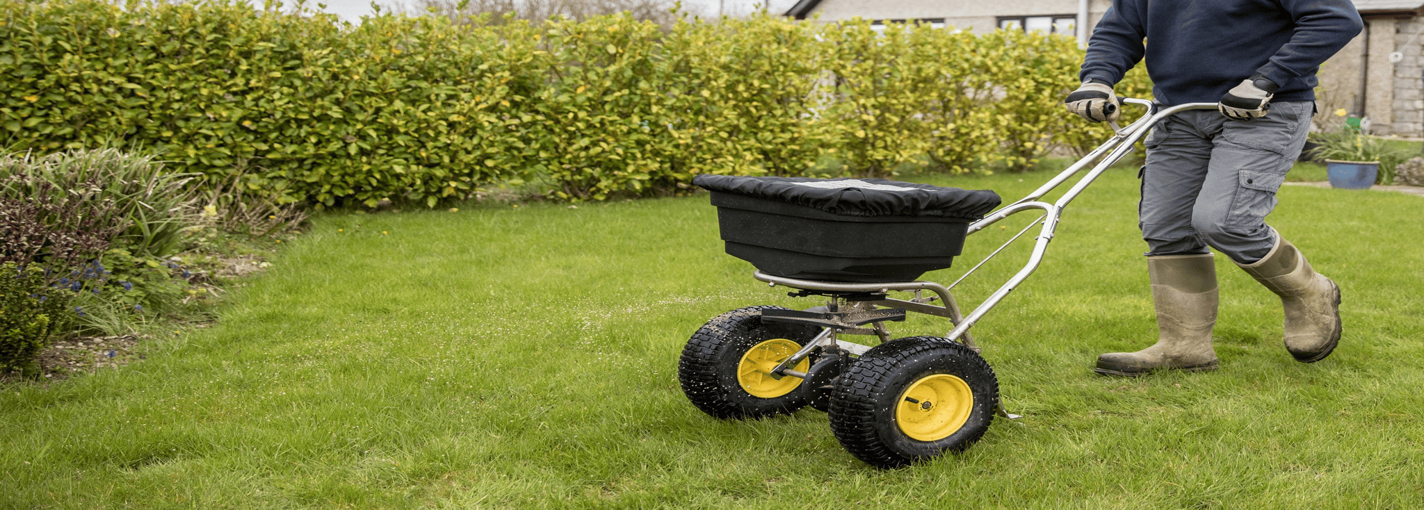 Fertilizers and amendments for healthy lawns.