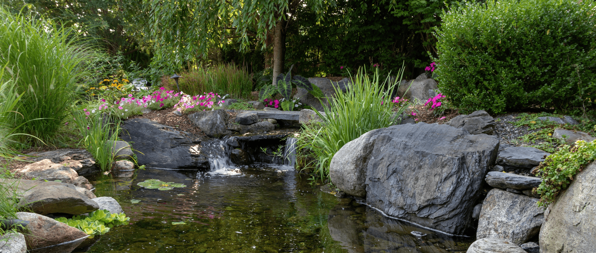 Backyard pond with surrounding boulders, water plants, and a small waterfall.