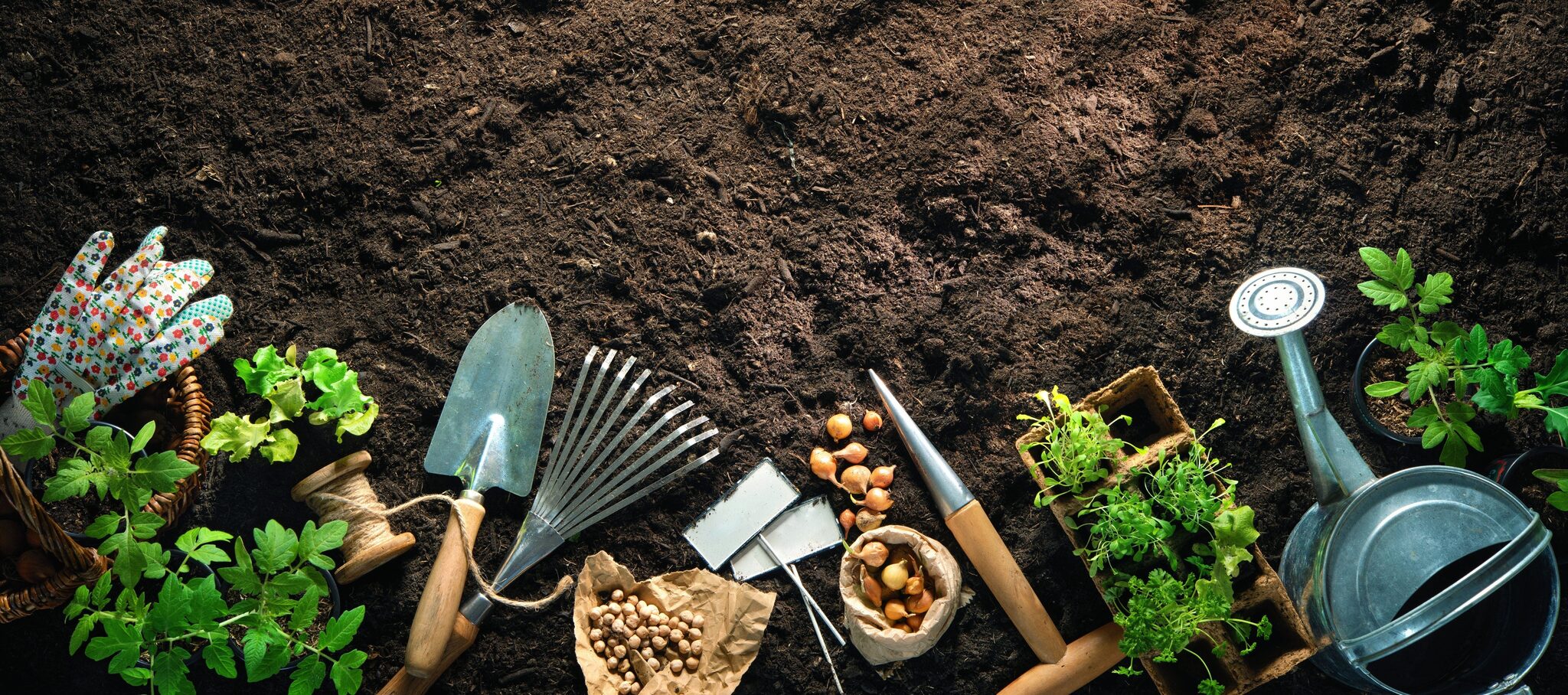 Overhead flatlay of garden tools, watering can, gloves, and seeds arranged on dark soil.