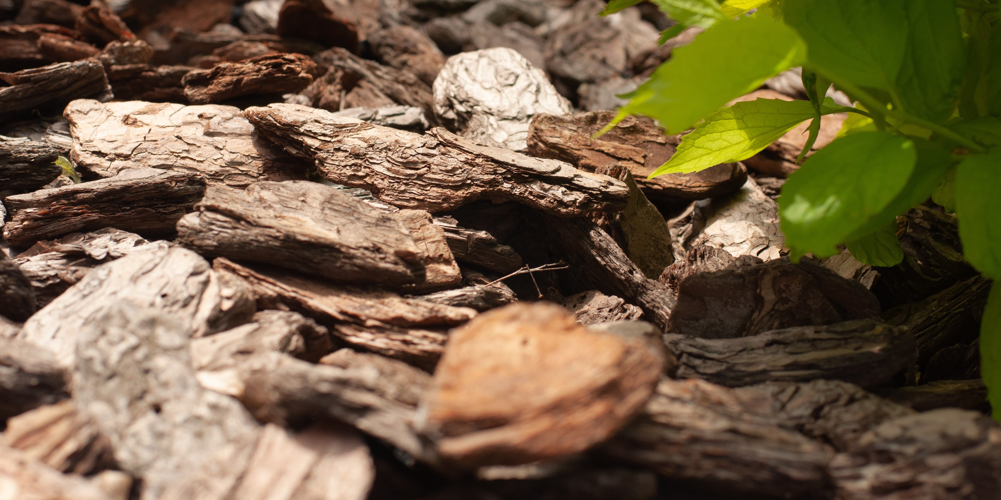 Soils & Mulches