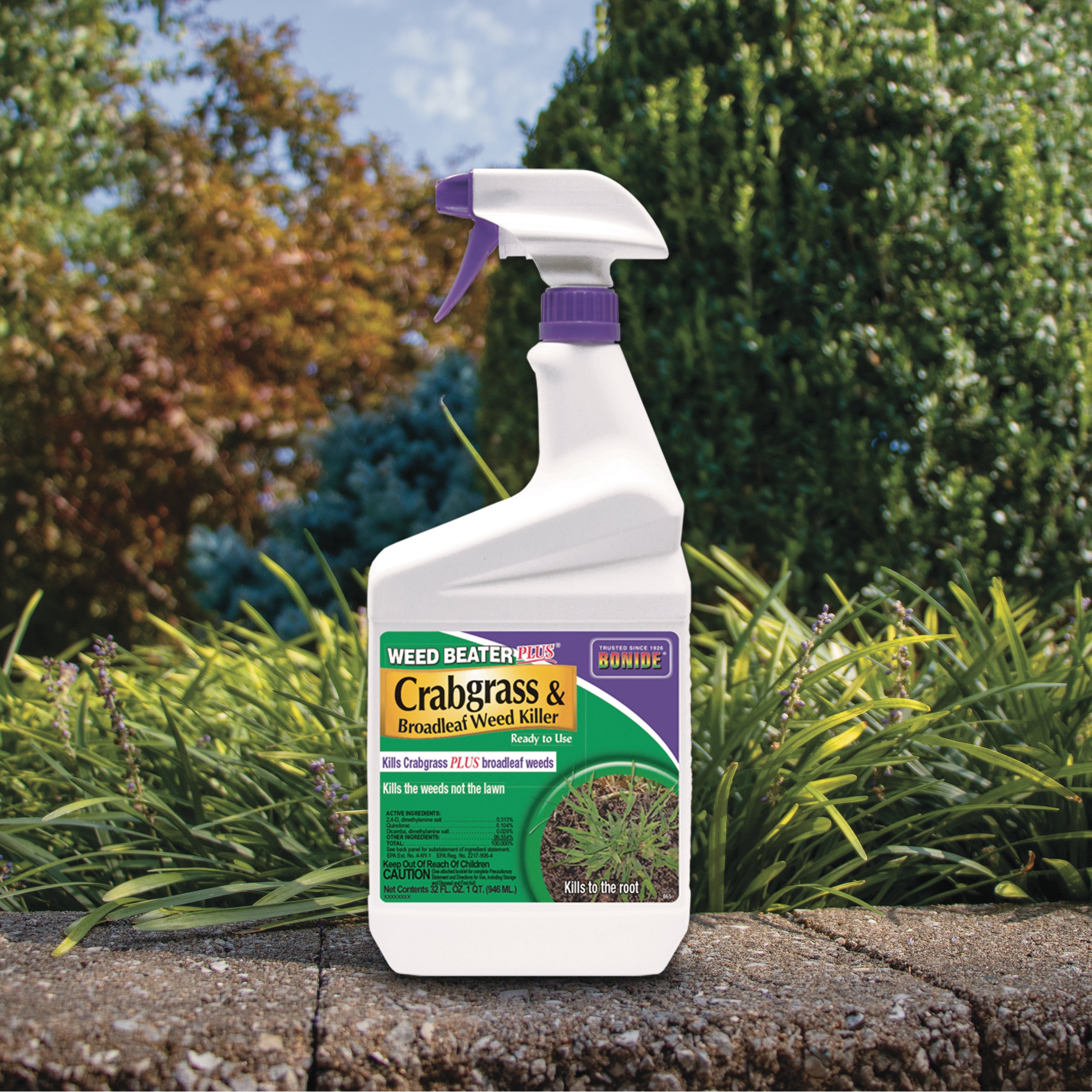 quinclorac 75 df herbicide crabgrass killer Quinclorac Select 75DF (6X1 Lb)(Lb) (Turf) LBS – Rivendell Distribution