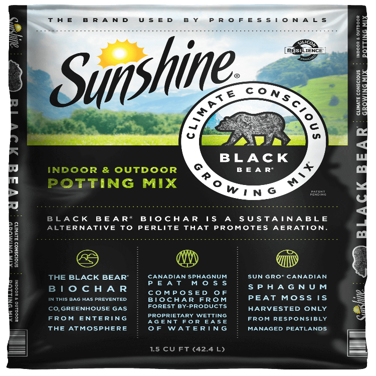 Sunshine Black Bear Indoor and Outdoor Potting Mix bag with biochar additive callouts.