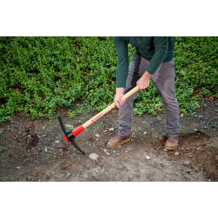 Gardener using pick mattock with two-handed swing to break up soil for a planting bed.