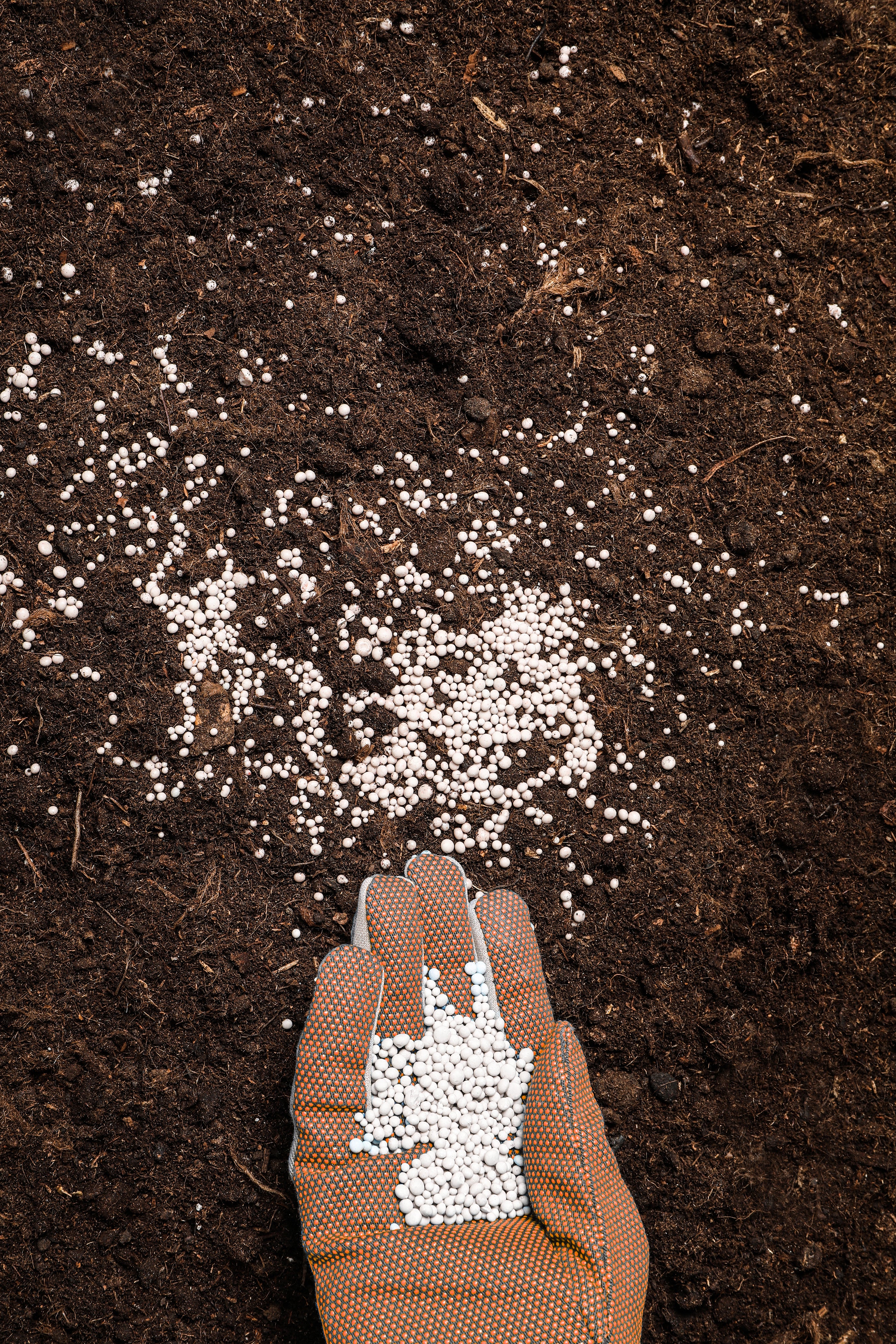 Fertilizer_1.jpg