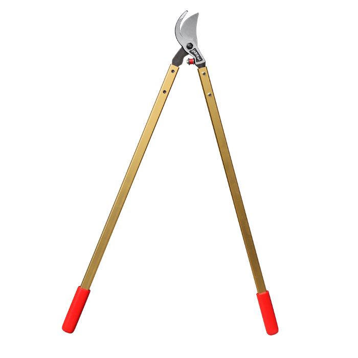 La Buena® Professional Bypass Lopper with 30-inch gold handles and red end caps.
