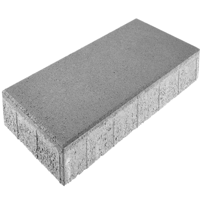 Gray rectangular paving stone, 12x24 inches, textured surface.
