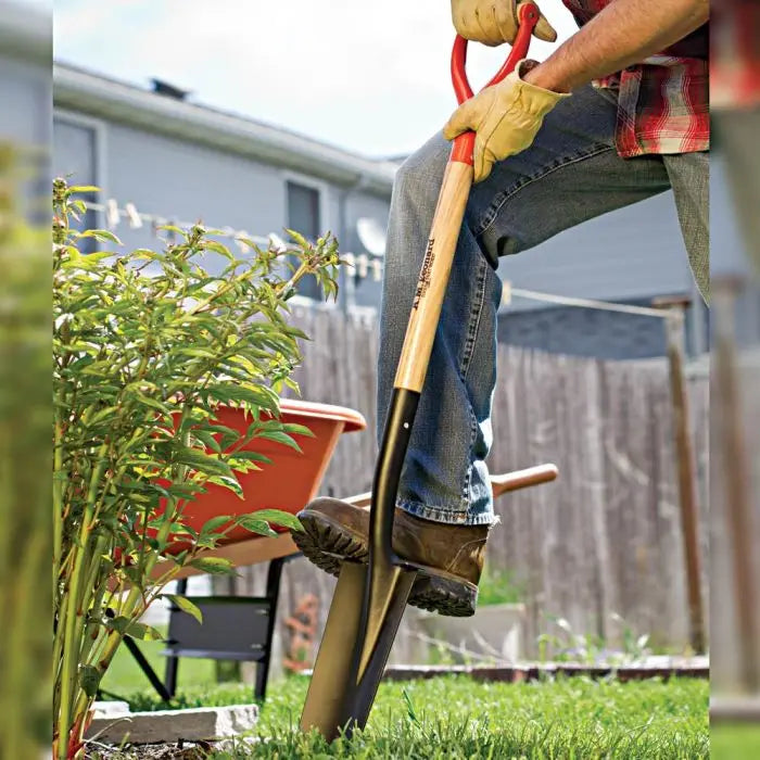 Gardener using AM Leonard 16-inch drain spade in a backyard garden bed with wheelbarrow.