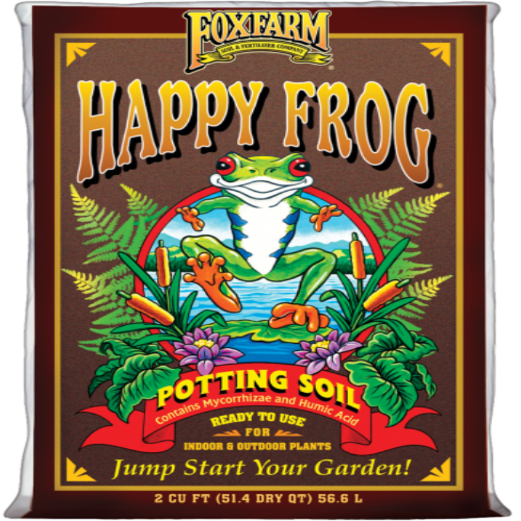 outdoor plants. Jumpstart your garden!
