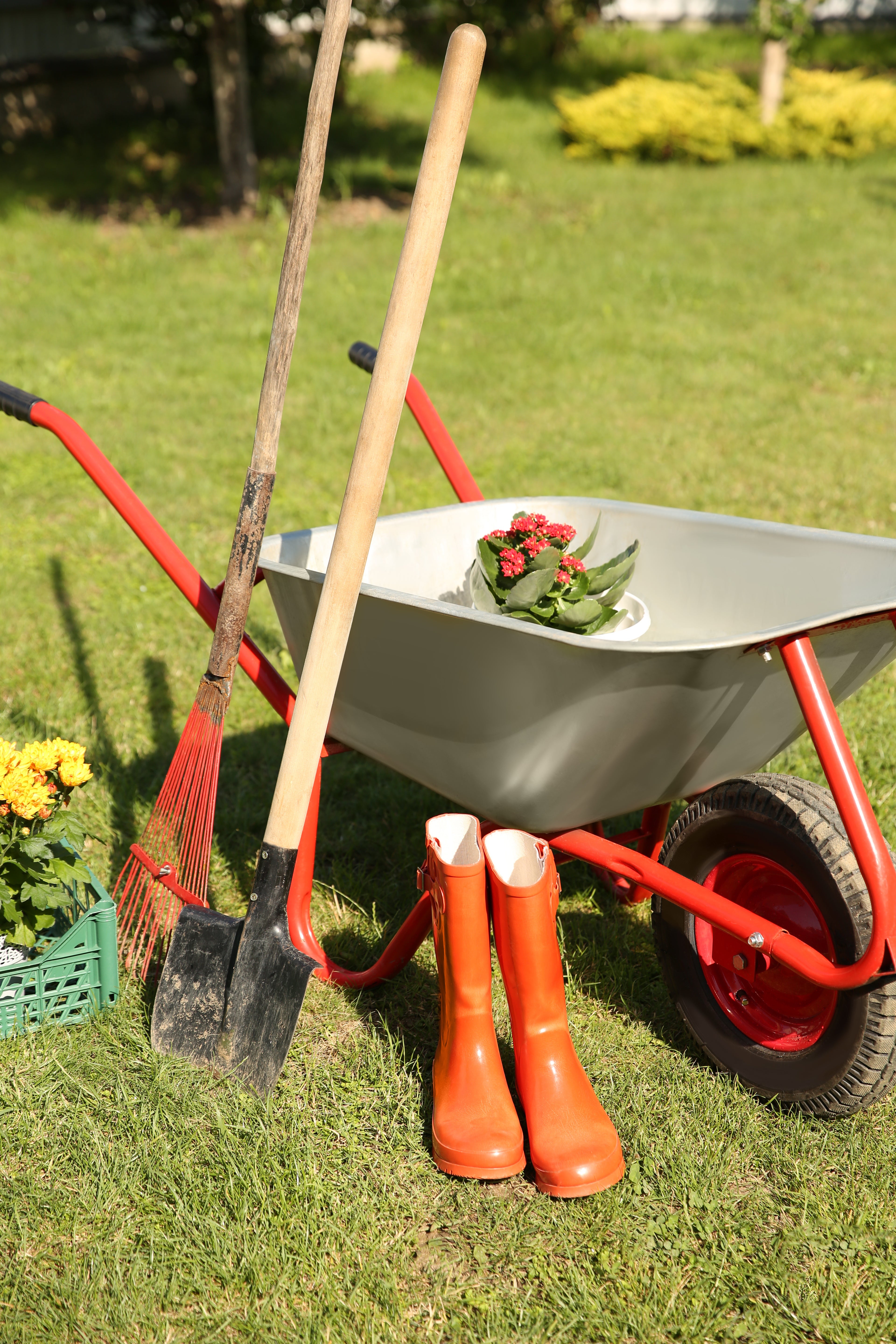 landscaping_tools.jpg