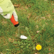 Gardener using AM Leonard hand weeder to extract a weed from a lawn.