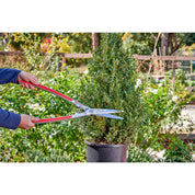 Hands using Corona Precision Cut shears to trim a potted boxwood shrub.