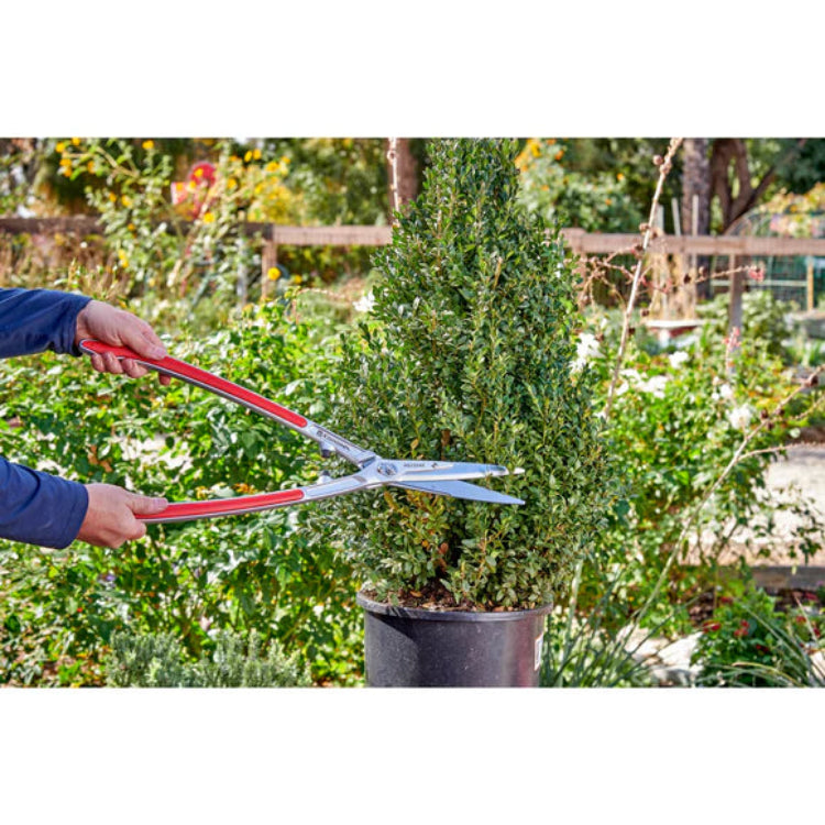 Hands using Corona Precision Cut shears to trim a potted boxwood shrub.