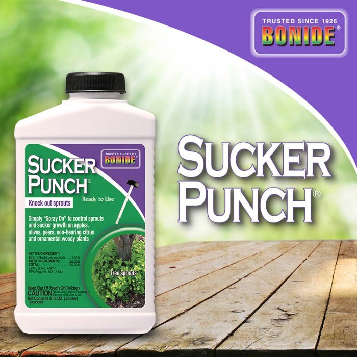 Bonide Sucker Punch Ready-to-Use: Controls sprouts & sucker growth on apples, olives, pears, citrus & ornamentals.
