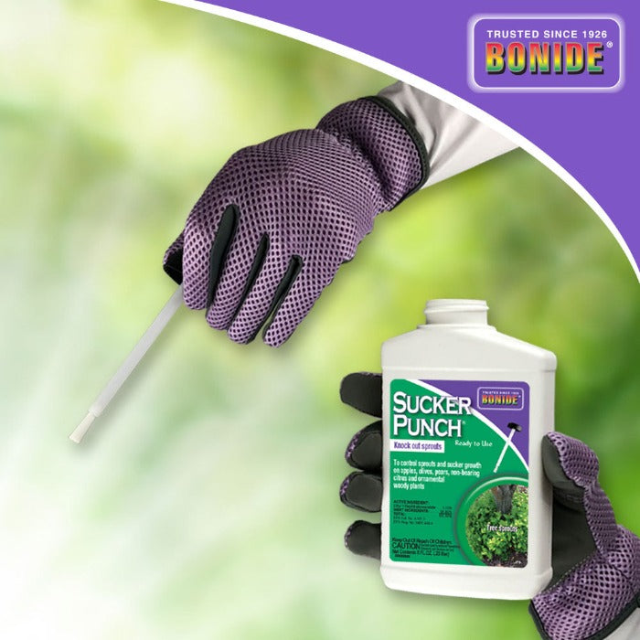 Ready-to-use herbicide for controlling unwanted sprouts on trees and plants; shown with applicator.
