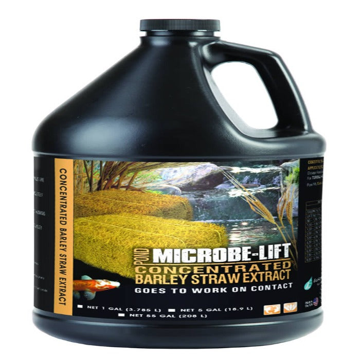 Barley straw extract concentrate in a large black plastic jug; pond scene on label.
