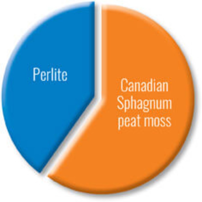 Seedling mix composition: Perlite and Canadian sphagnum peat moss.
