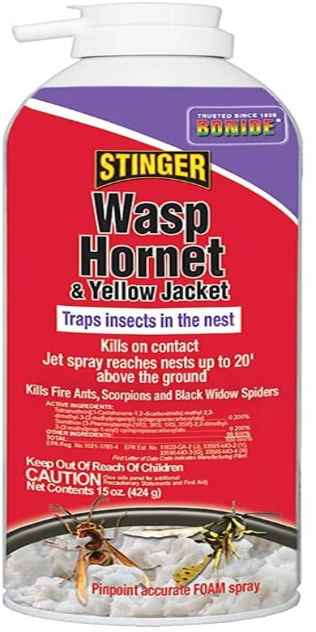 Foam wasp and hornet killer with 20-foot reach, shown in product packaging.
