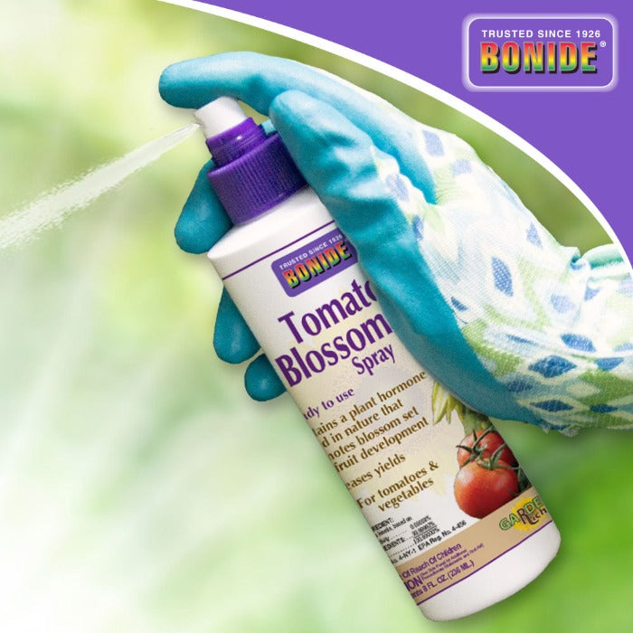 Gardener's gloved hand spraying 8 oz. tomato blossom spray; boosts fruit development.
