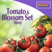 Tomato blossom set spray bottle shown with ripe red tomatoes on the vine.
