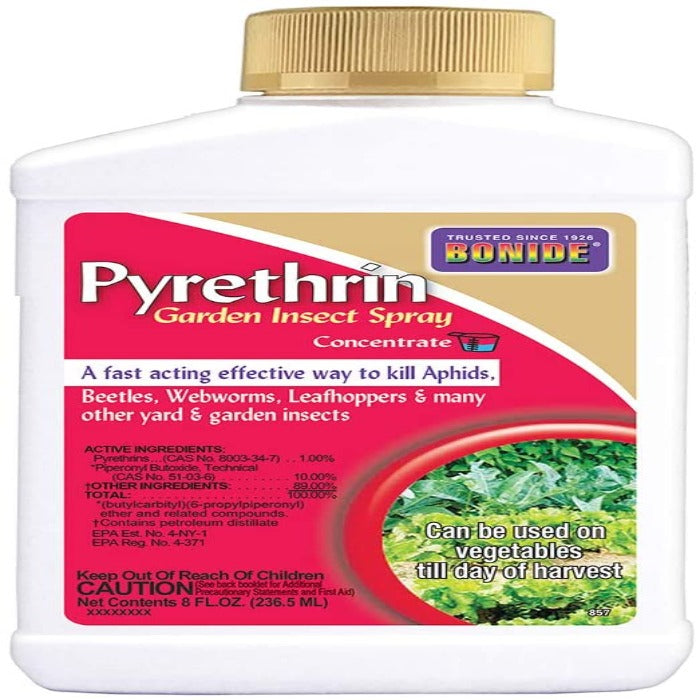Pyrethrin garden insect spray concentrate bottle;  kills aphids, beetles, and other insects; safe for use on vegetables until harvest.
