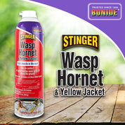 Foam wasp, hornet, and yellow jacket killer spray on wood background.
