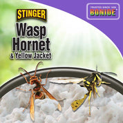 Wasp, hornet, and yellow jacket bait in a trap, shown with foam attractant.
