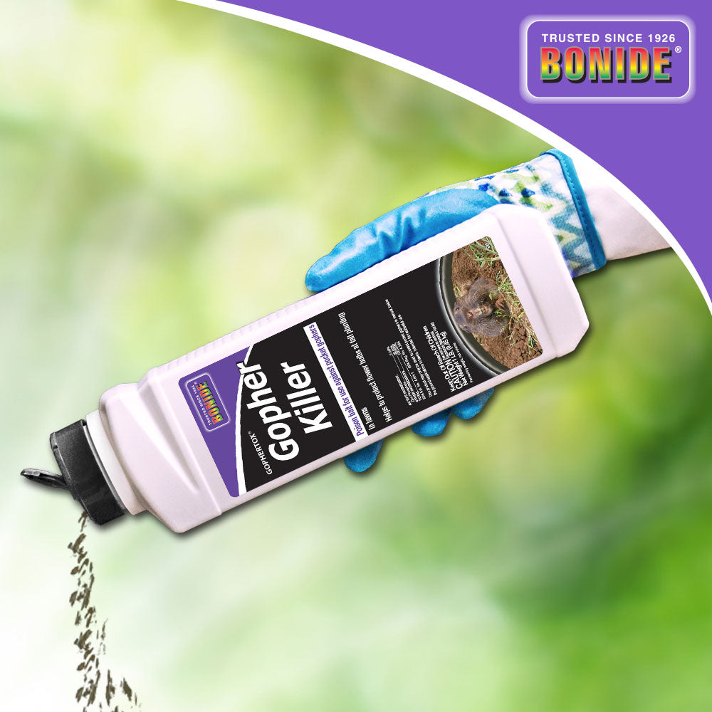 Gopher Killer poison bait being poured onto grass,  effective rodent control for lawns and gardens.
