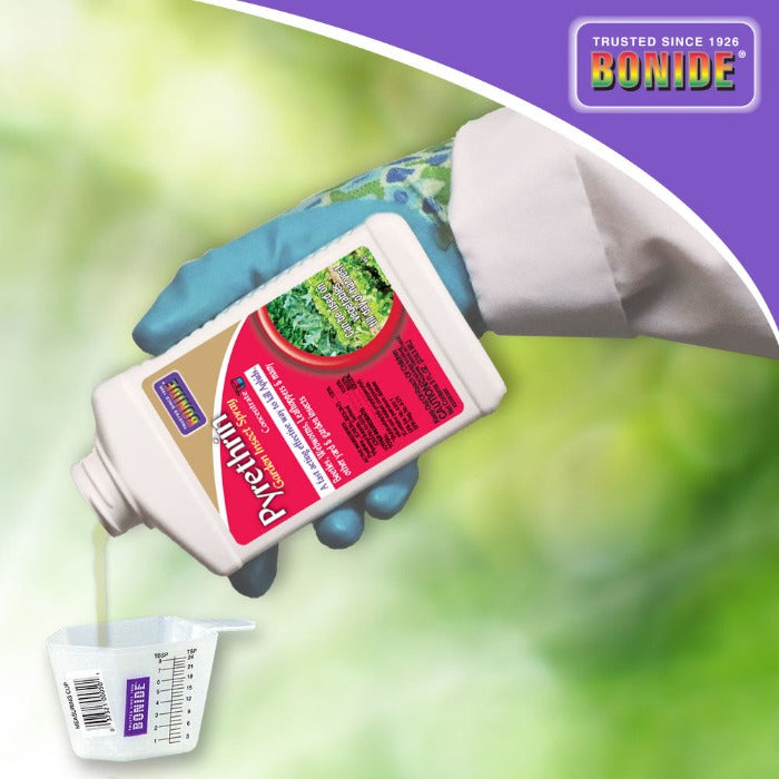 insecticidal soap with pyrethrin Safer Brand Insect Killing Soap